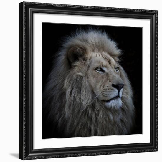 Proud Lion-Louise Wolbers-Framed Giclee Print