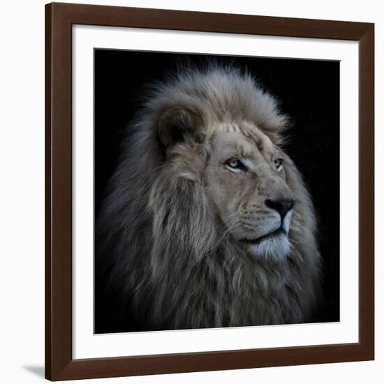 Proud Lion-Louise Wolbers-Framed Giclee Print