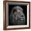 Proud Lion-Louise Wolbers-Framed Photographic Print