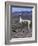 Proud Llama Stands Tall in the Chilean Altiplano, Chile-Lin Alder-Framed Photographic Print
