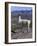 Proud Llama Stands Tall in the Chilean Altiplano, Chile-Lin Alder-Framed Photographic Print