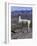 Proud Llama Stands Tall in the Chilean Altiplano, Chile-Lin Alder-Framed Photographic Print