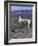 Proud Llama Stands Tall in the Chilean Altiplano, Chile-Lin Alder-Framed Photographic Print