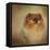 Proud Pomeranian-Jai Johnson-Framed Premier Image Canvas