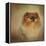 Proud Pomeranian-Jai Johnson-Framed Premier Image Canvas