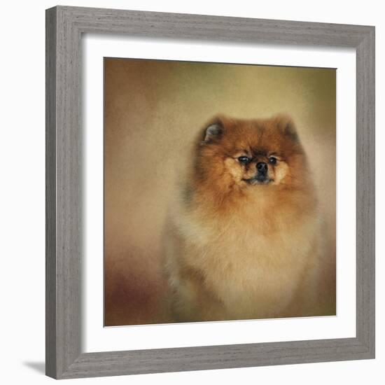 Proud Pomeranian-Jai Johnson-Framed Giclee Print