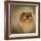 Proud Pomeranian-Jai Johnson-Framed Giclee Print