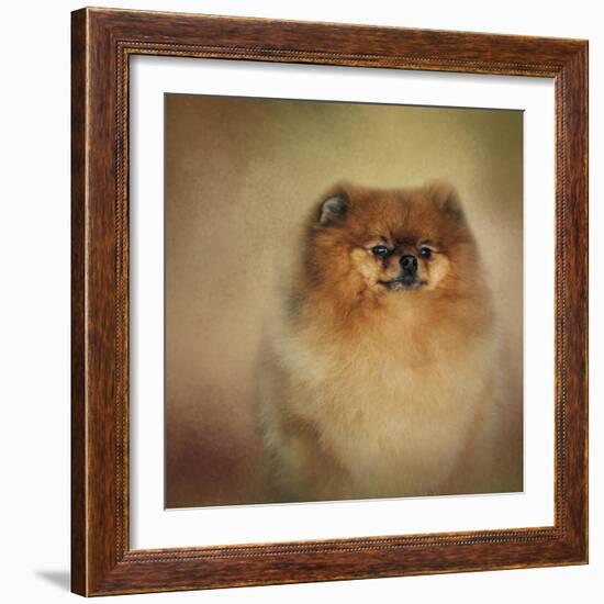 Proud Pomeranian-Jai Johnson-Framed Giclee Print