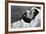 Proust Dead Photo-null-Framed Photographic Print