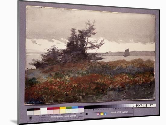 Prout's Neck, Looking toward Old Orchard, 1883 (W/C on Paper)-Winslow Homer-Mounted Giclee Print