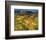 Provencal Landscape-Philip Craig-Framed Giclee Print