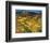 Provencal Landscape-Philip Craig-Framed Giclee Print