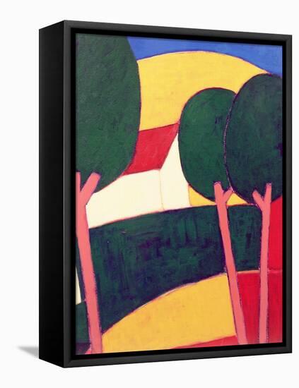 Provencal Paysage, 1997-Eithne Donne-Framed Premier Image Canvas