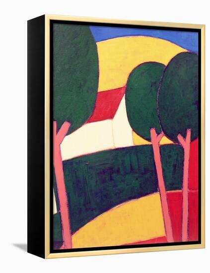 Provencal Paysage, 1997-Eithne Donne-Framed Premier Image Canvas