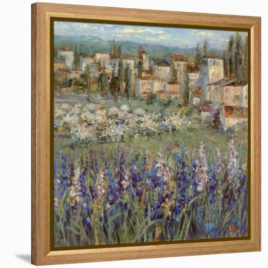 Provencal Village I-Michael Longo-Framed Stretched Canvas