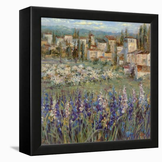 Provencal Village I-Michael Longo-Framed Stretched Canvas