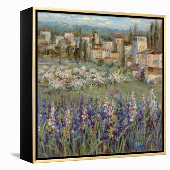 Provencal Village I-Michael Longo-Framed Stretched Canvas