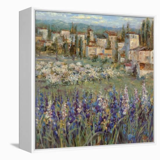 Provencal Village I-Michael Longo-Framed Stretched Canvas