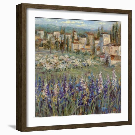 Provencal Village I-Michael Longo-Framed Premium Giclee Print