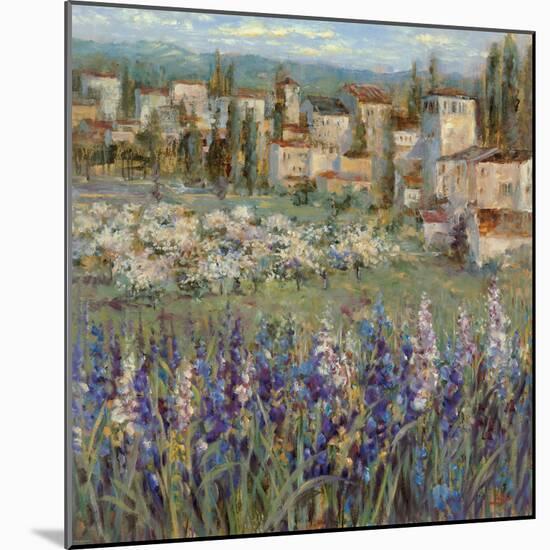 Provencal Village I-Michael Longo-Mounted Art Print