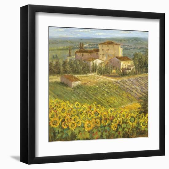 Provencal Village III-null-Framed Giclee Print