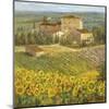 Provencal Village III-null-Mounted Giclee Print