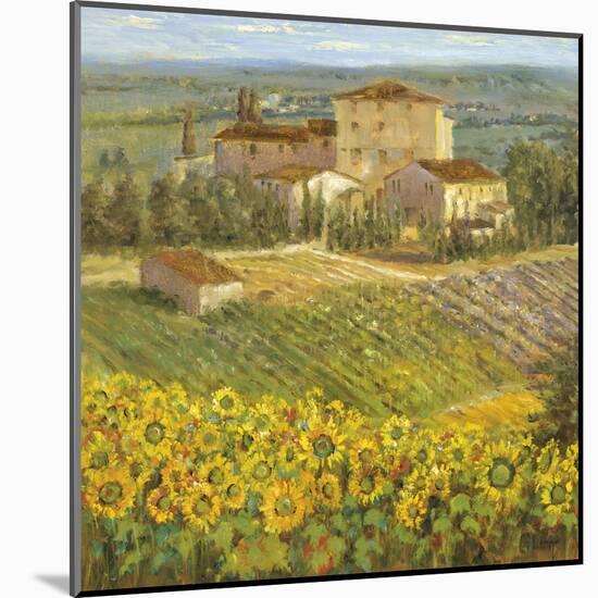 Provencal Village III-null-Mounted Giclee Print