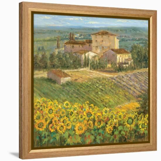 Provencal Village III-Michael Longo-Framed Stretched Canvas