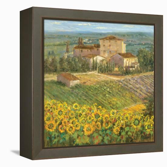 Provencal Village III-Michael Longo-Framed Stretched Canvas
