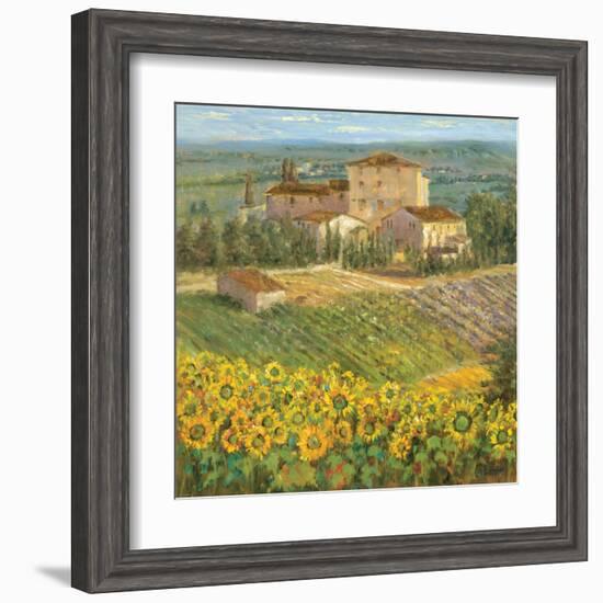 Provencal Village III-Michael Longo-Framed Art Print