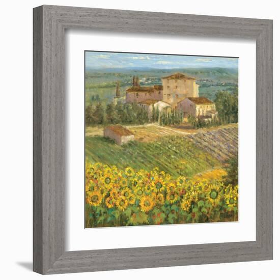 Provencal Village III-Michael Longo-Framed Art Print