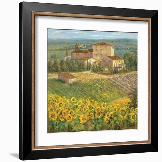 Provencal Village III-Michael Longo-Framed Art Print