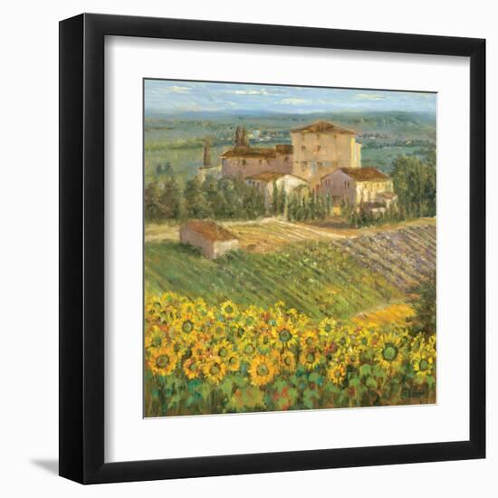 Provencal Village III-Michael Longo-Framed Art Print