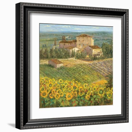 Provencal Village III-Michael Longo-Framed Art Print