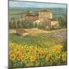 Provencal Village III-Michael Longo-Mounted Premium Giclee Print