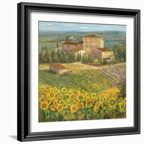 Provencal Village III-Michael Longo-Framed Premium Giclee Print