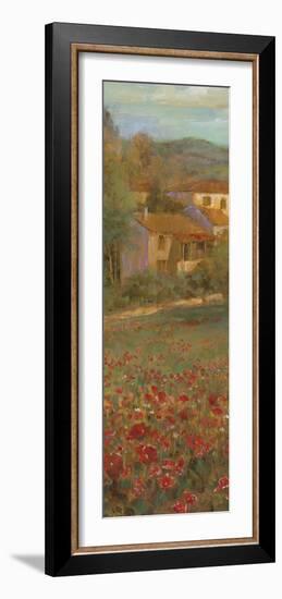 Provencal Village VI - Detail-Longo-Framed Giclee Print
