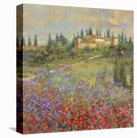 Provencal Village XI-Longo-Framed Stretched Canvas