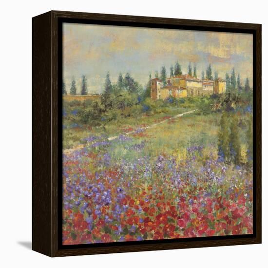 Provencal Village XI-Longo-Framed Stretched Canvas