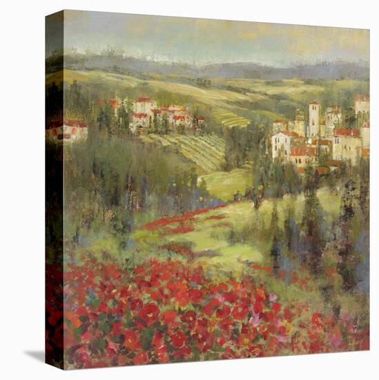 Provencal Village XIII-Longo-Framed Stretched Canvas