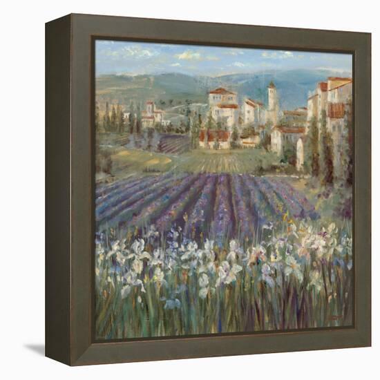 Provencal Village-Michael Longo-Framed Stretched Canvas