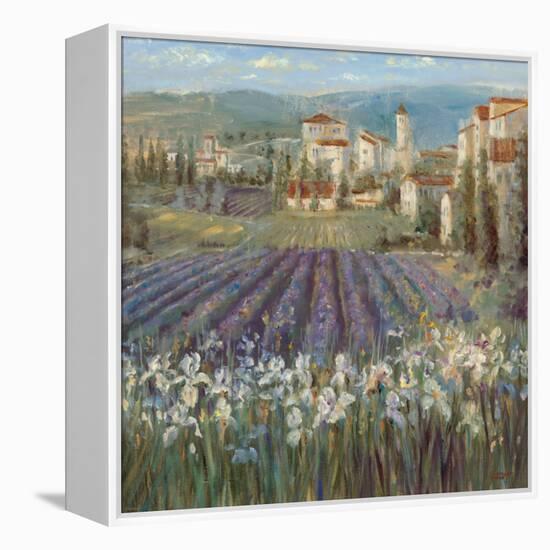 Provencal Village-Michael Longo-Framed Stretched Canvas