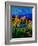 Provence 459001-Pol Ledent-Framed Art Print