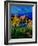 Provence 459001-Pol Ledent-Framed Art Print