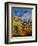 Provence 569011-Pol Ledent-Framed Art Print