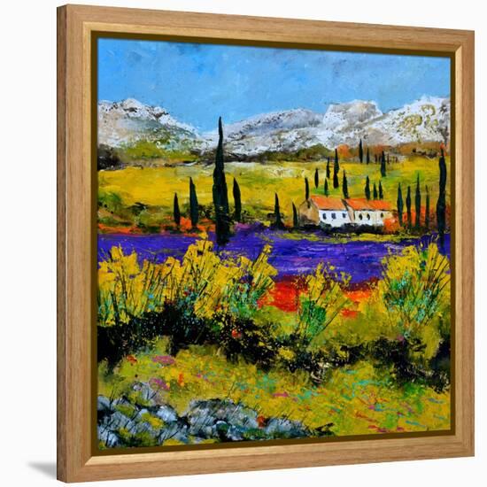 Provence 885120-Pol Ledent-Framed Stretched Canvas