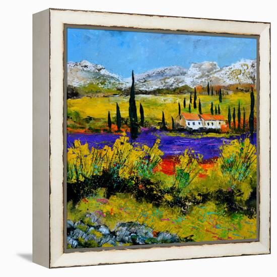 Provence 885120-Pol Ledent-Framed Stretched Canvas