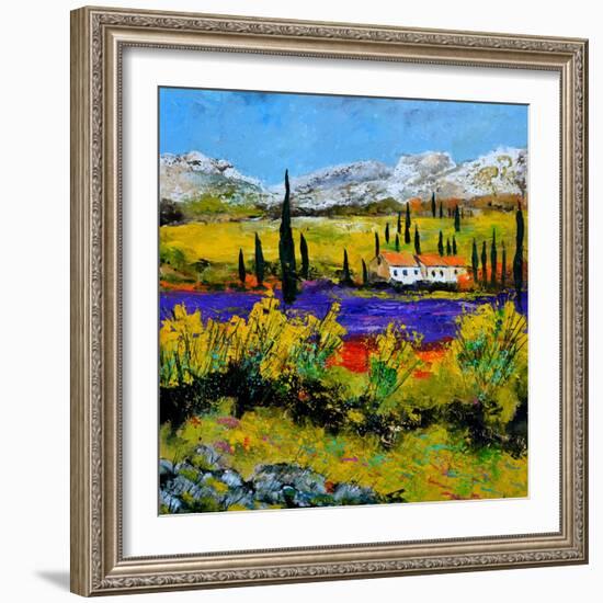 Provence 885120-Pol Ledent-Framed Art Print