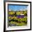 Provence 885120-Pol Ledent-Framed Art Print