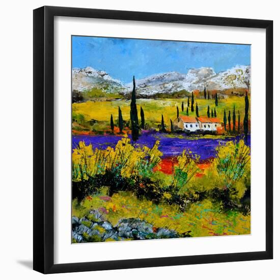 Provence 885120-Pol Ledent-Framed Art Print